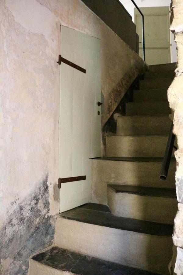 CipressaLa Casa Giusta - Domus Ista别墅 外观 照片